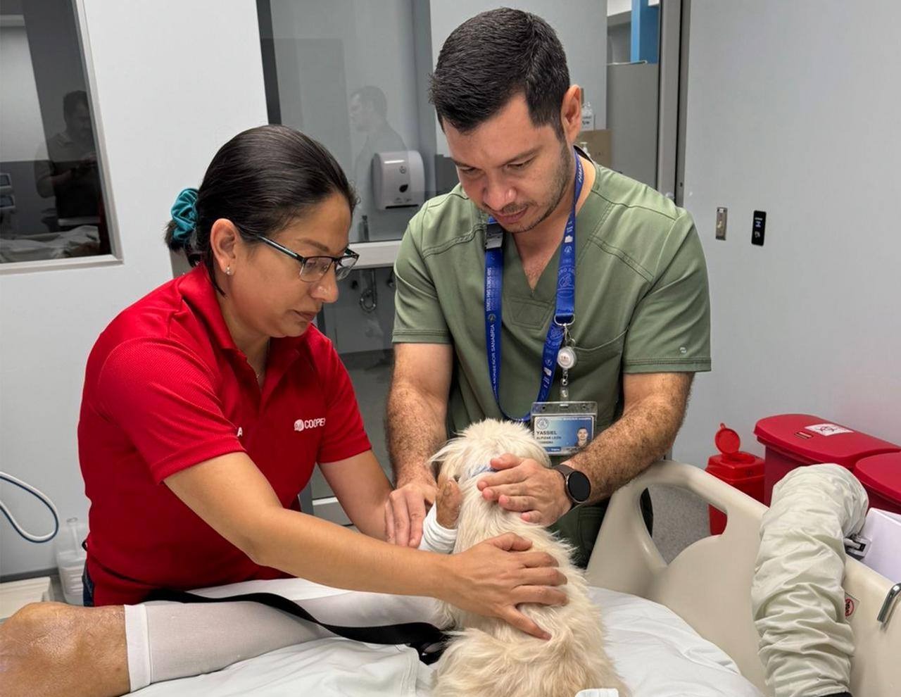 Voluntaria y médico visitando paciente con perro terapeuta